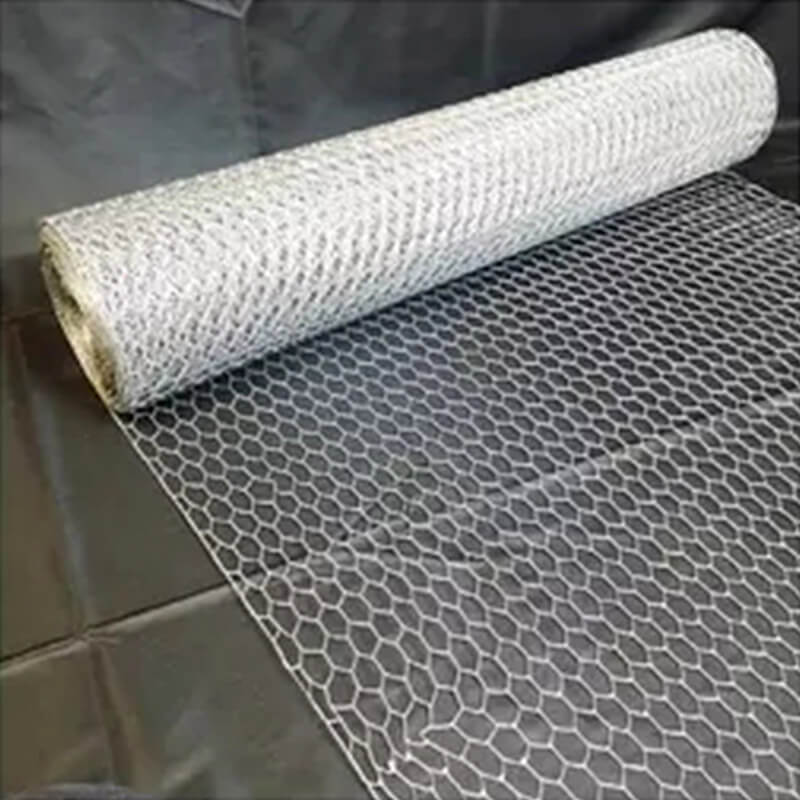 Large Image